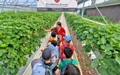 Schulanfänger auf der Erdbeerfarm